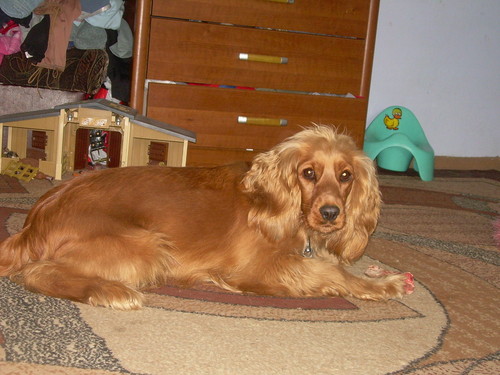 Sonia:)