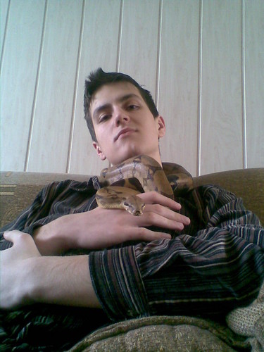 Wpis constrictor