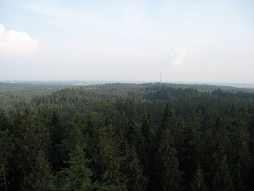 Wpis niunka1995