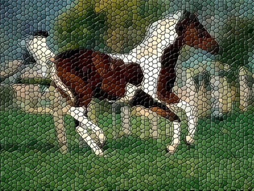 Konik po przerbce 2