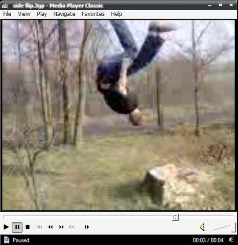 Side Flip