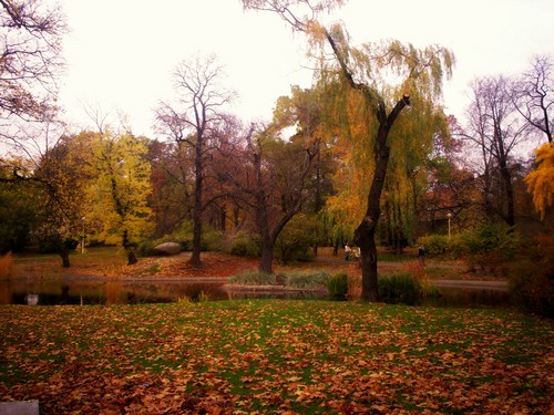 Pozna-park