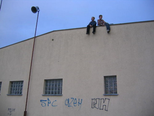 Wpis mlodzitraucerzy