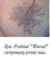 Wpis purpurowaxtrawa