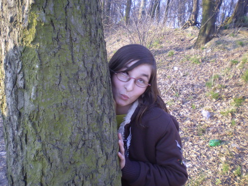 Wpis dziwnycien