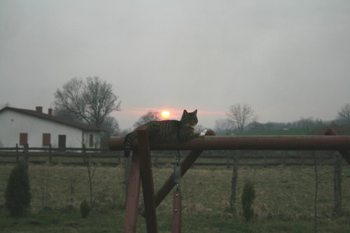 Wpis julka98