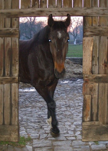 Wpis luka9