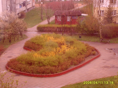 Widok z okna!!!