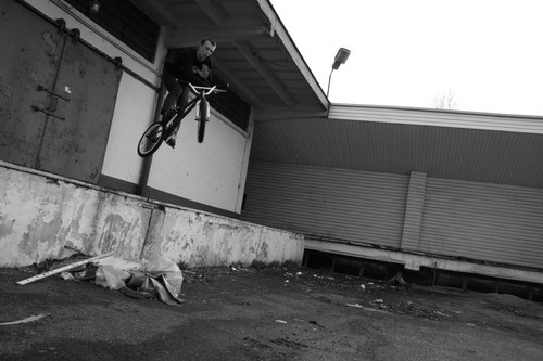 Wpis szogunbmx