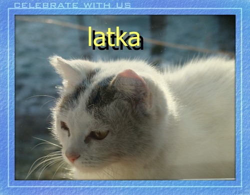 latka