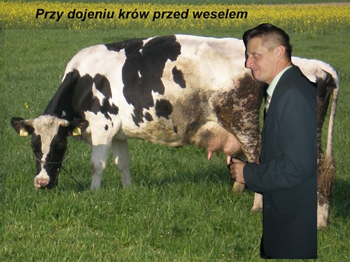 Wpis bialelabedzie
