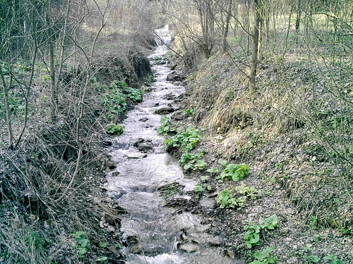 Beskid Niski - okolice Lipowicy