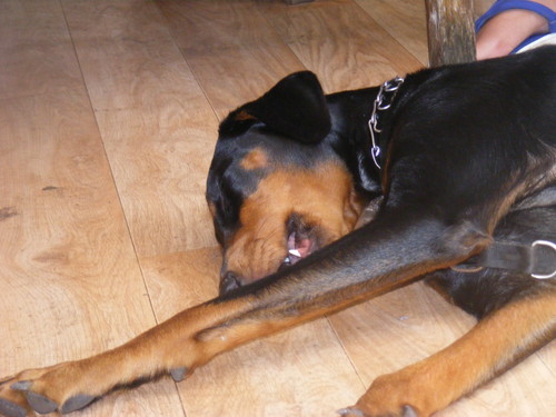 luna:p:p