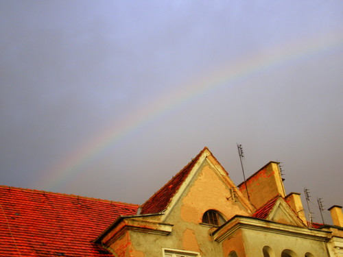 Wpis nieokszesana