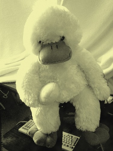 MisIo:*