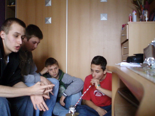 Wpis podlesne