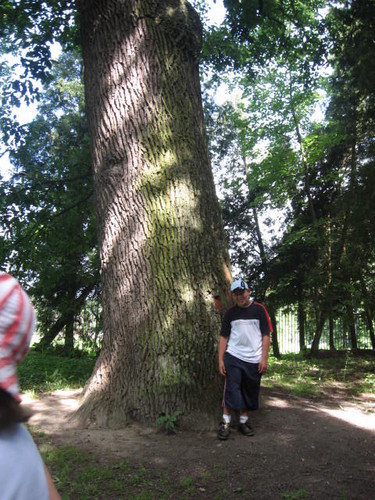 ...:::::Wspomnienia:::::.....