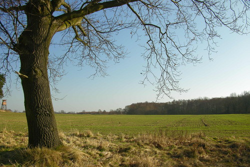wsi spokojna