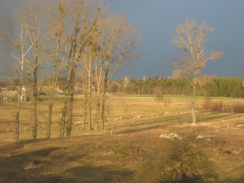 Widok