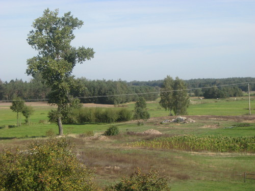 Wiosna
