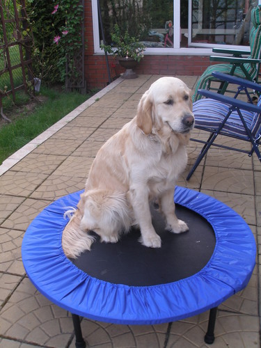  Fionka