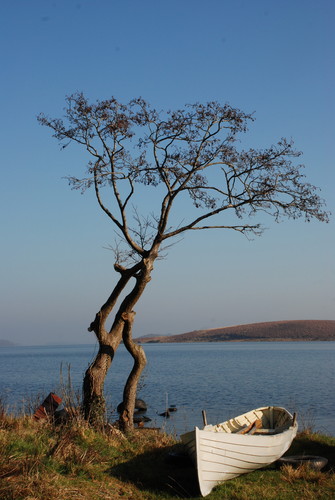 Lough Corrib