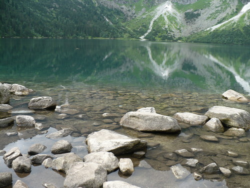 Made by dzollka