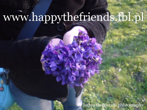 Happythefriends.fbl.pl