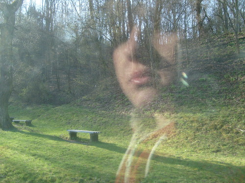 Wpis skrzacik