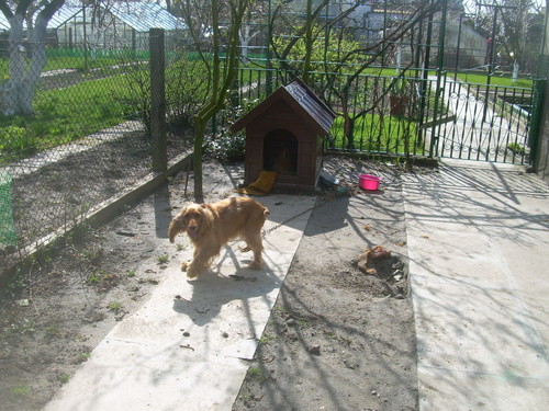 Sonia:D