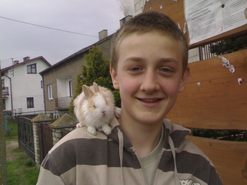 kroliczek;*