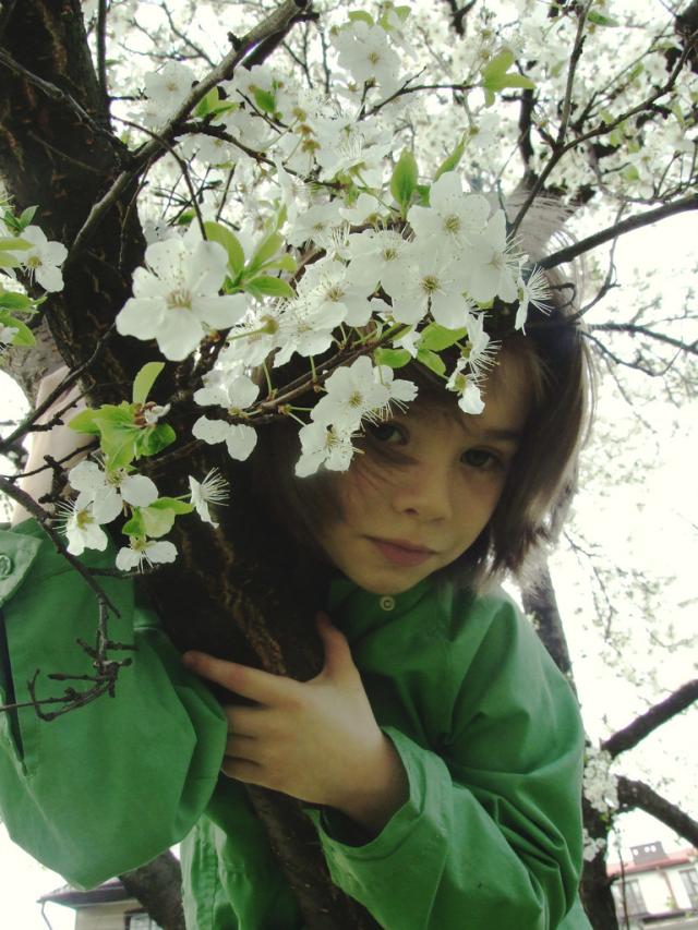 pod mirabel.