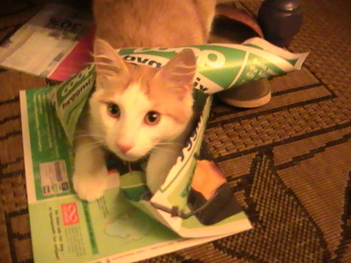 poranny przegld prasy ;o)