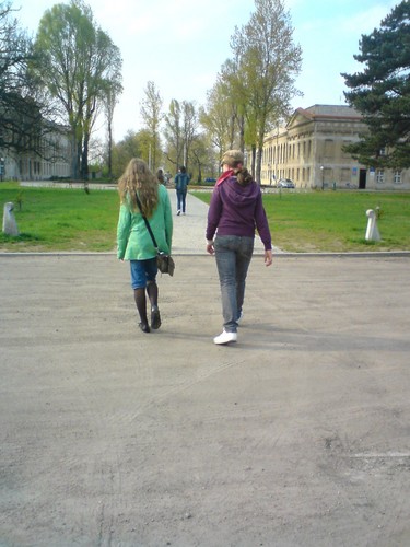 Wpis czarnekropki