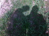 cienie
