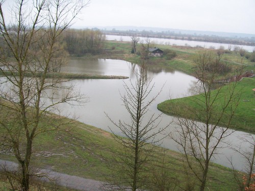 widoczek