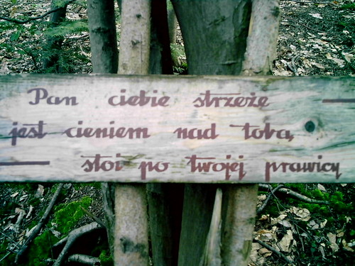 Bez tytuu