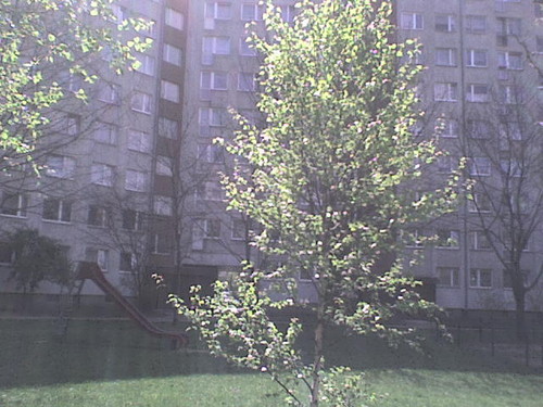 wiosna !!!