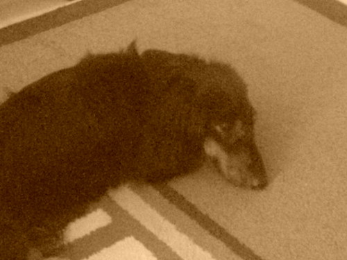 PiEsIo^^