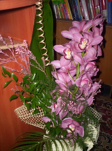 moje kwiatki