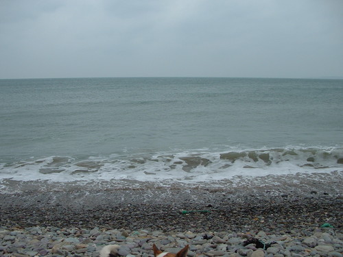 ocean