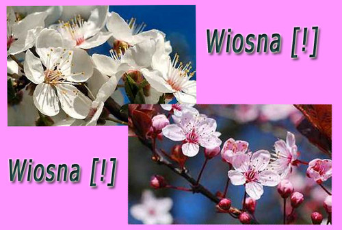 Wpis 0507agussie0102