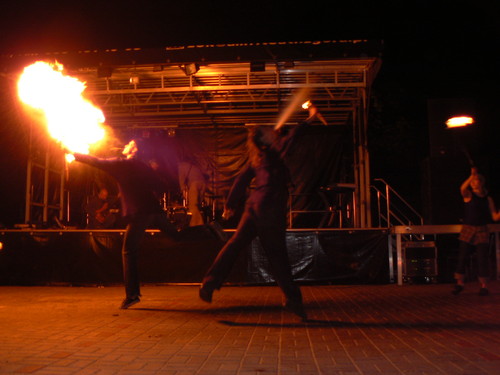 Wpis feroxignis