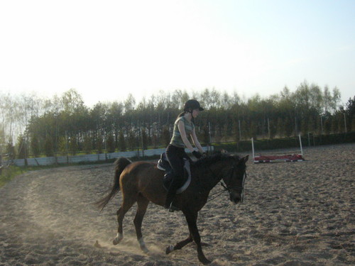 Wpis horses07