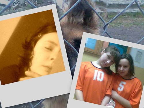            1BLOG