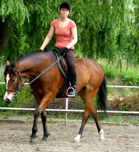 Wpis domisiek