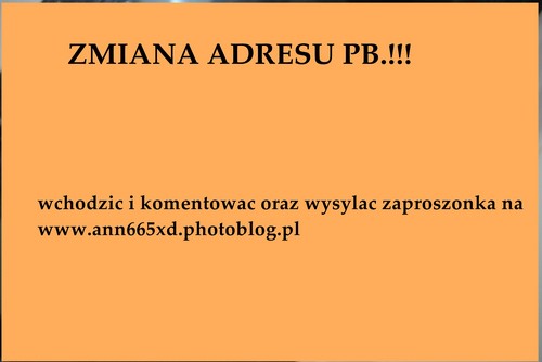 zmiana adresu!!!!!!!!!!!