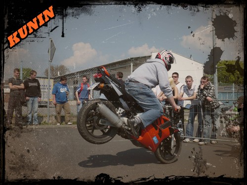 Wpis kuninstyle