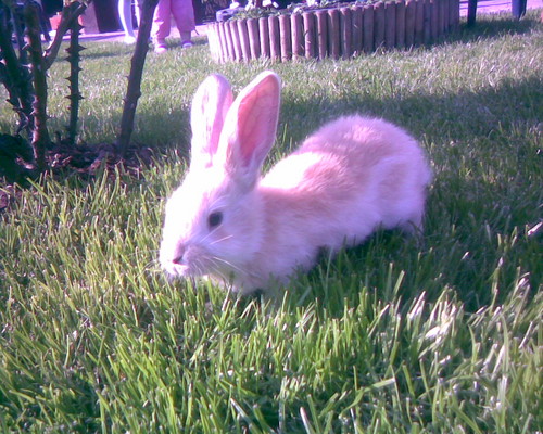 May klliczek :D