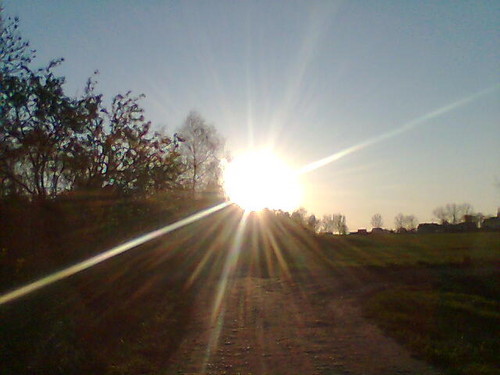 onenie...